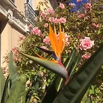 Au Petit Marius * Cannes