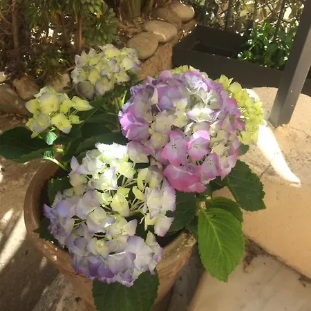 Au Petit Marius * Cannes