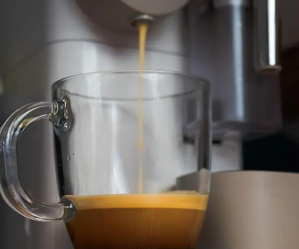 Au Petit Marius Cannes