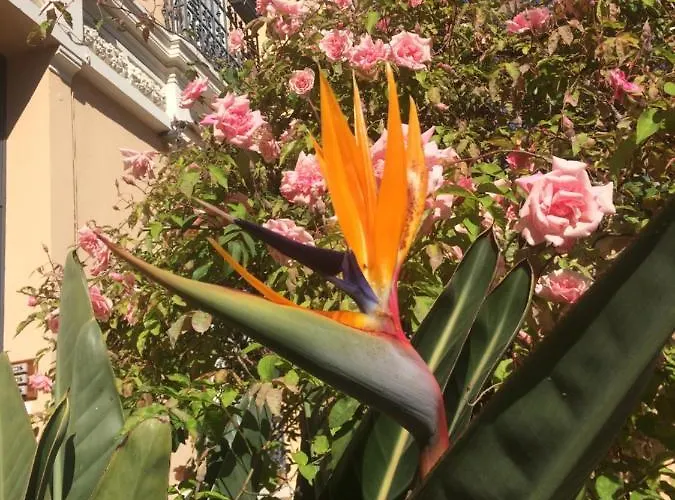 Au Petit Marius * Cannes