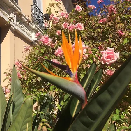 Au Petit Marius * Cannes